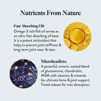 Best Bone & Joint Support Supplement for Stronger Bones