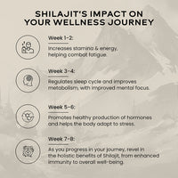 Pure Himalayan Shilajit Gold