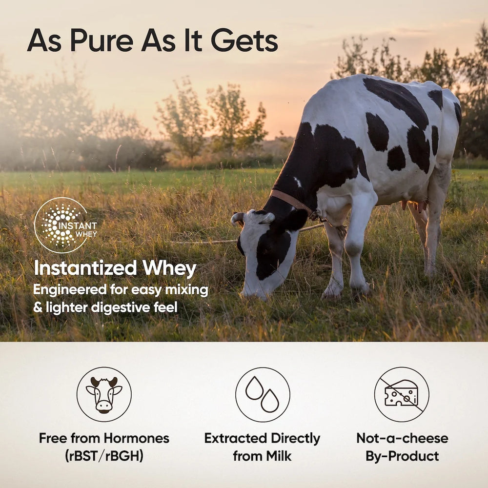 Whey Protein Isolate 26g | 1kg | 4B CFU Probiotics | Dark Chocolate